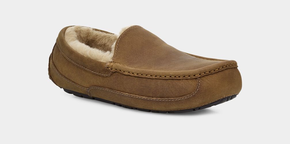 ASCOT TAN - WIDE