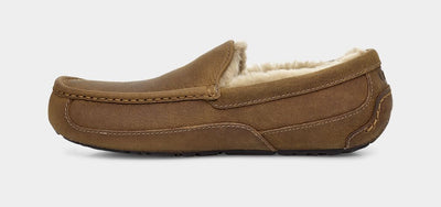 ASCOT TAN - WIDE