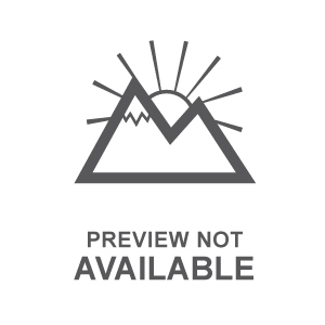 RIO FLEX 11-IN WATERPROOF SAFETY TOE PULL-ON BOOT