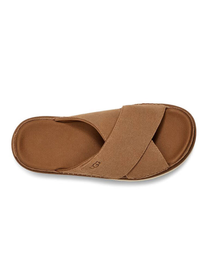 GOLDENSTAR CROSS SLIDE CHESTNU