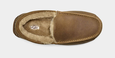 ASCOT TAN - MENS  WIDE