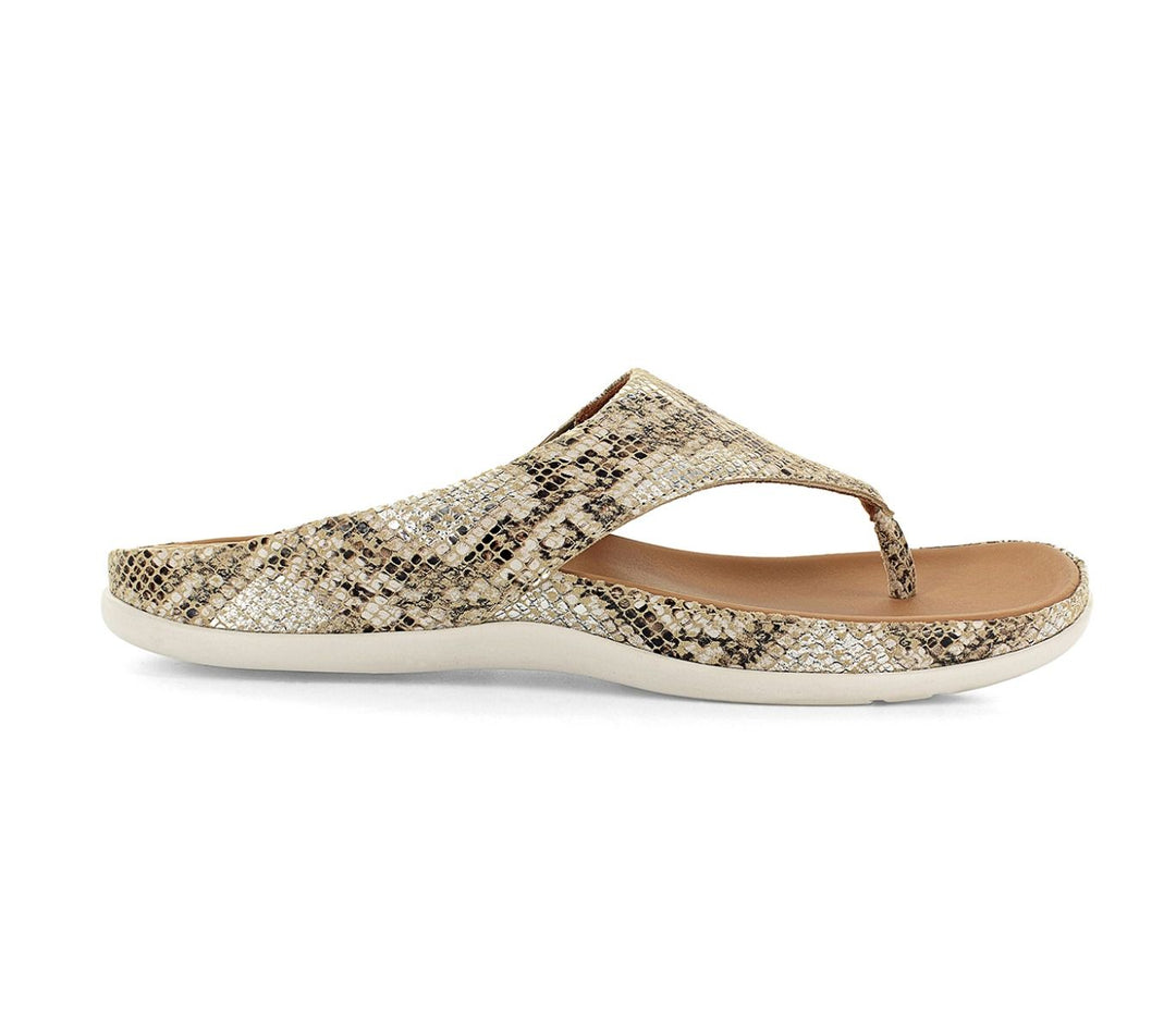 MAUI SNAKE GLAMOUR